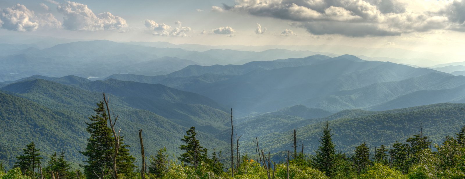 PUVL Store (Multistore)