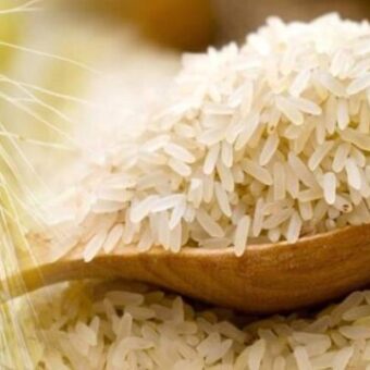 Rice